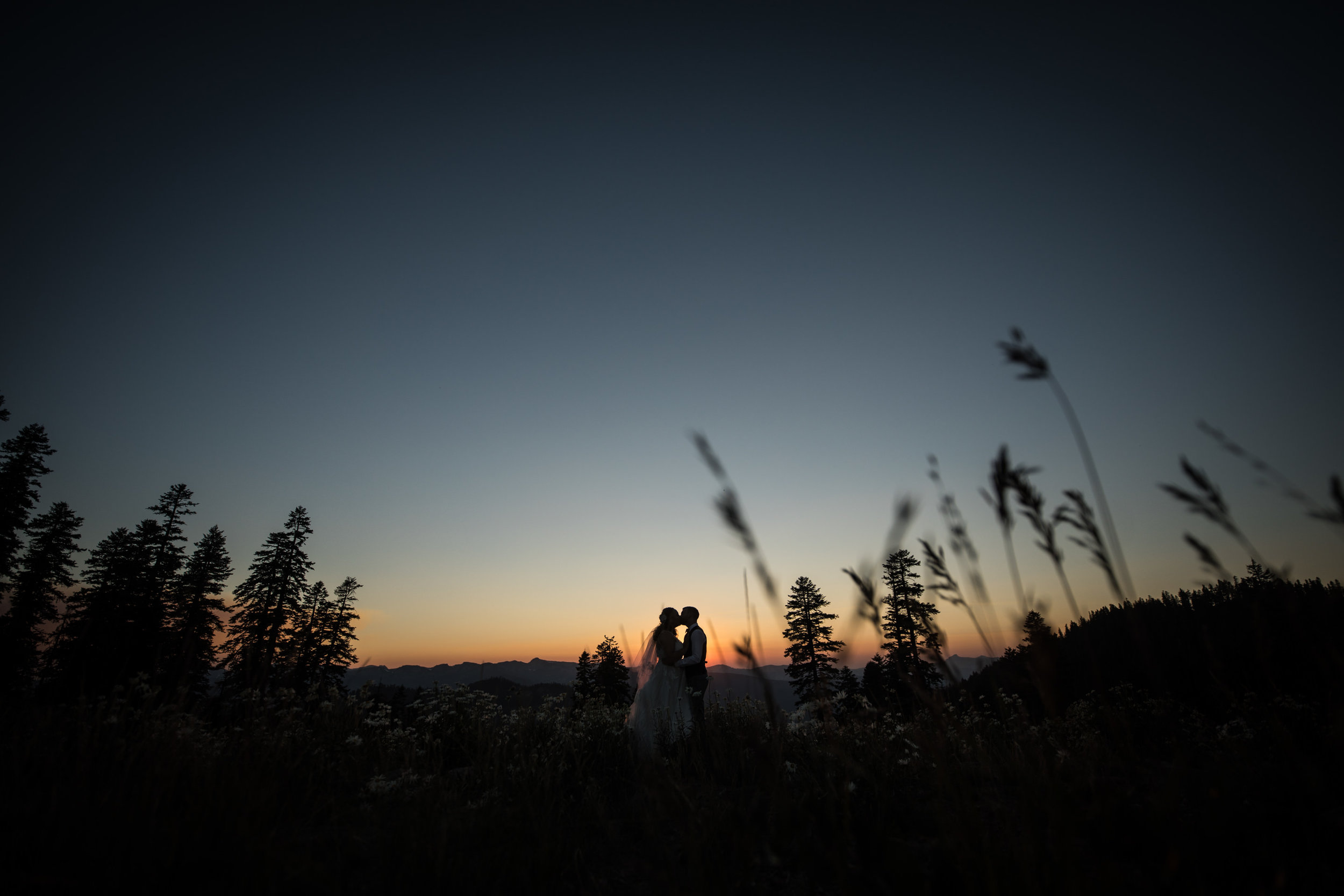 Aime and Cedric Smith Wedding 1518.jpg