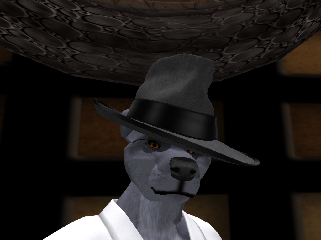 OLD DOG EVEREST_004.png