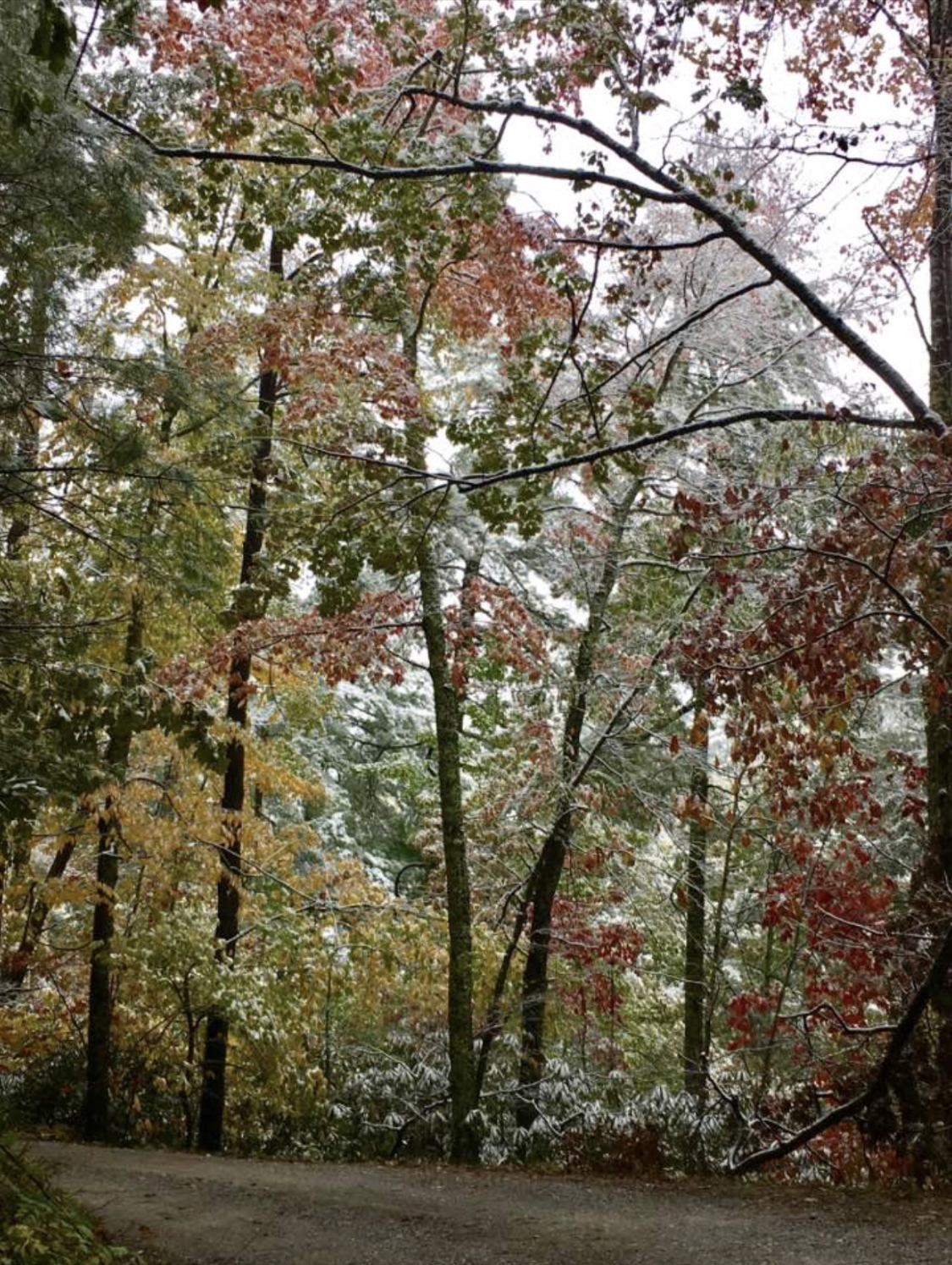 2018 Fall Foliage Report