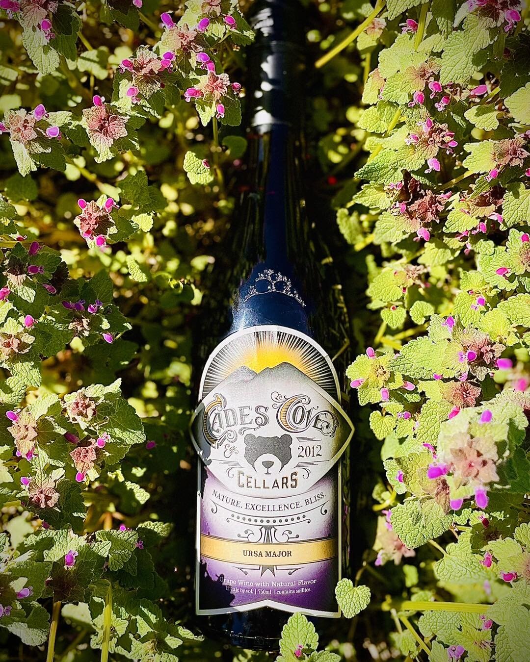 ✨The official release of Ursa Major is here!✨

🫐This beautiful effervescent blueberry wine is sure to please everyone at your next outdoor gathering. Ursa Major pairs well with BBQ chicken, charcuterie boards, and cheesecake! 

📍Now a permanent exc