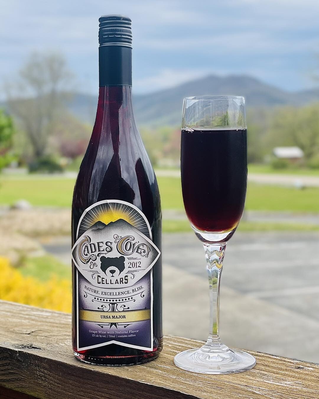 🐻Ursa Major is available chilled and ready to drink on our porch. 

🫐Stop in for a free tasting and grab a bottle to enjoy with us! 

#wearsvalley #cadescovecellarswearsvalley #peacefulsideofthesmokies #brunch #sevierville #wineslushies #blueberryw