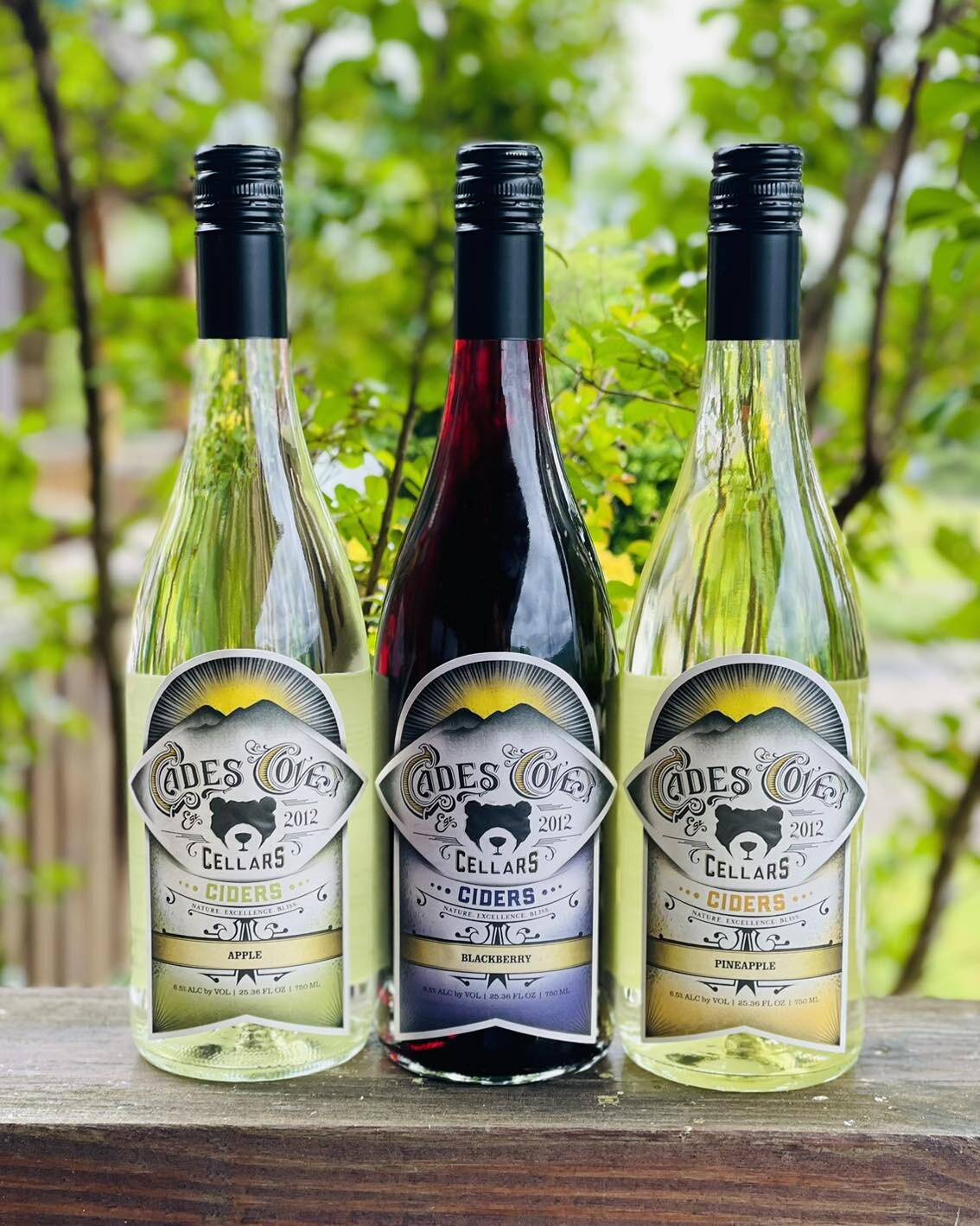 🤩We are excited to introduce our newest venture!🤩

🍎🍏We now are proudly producing juicy flavorful ciders! 🍎🍏

📍Our ciders are only available at our Wears Valley location! 

#cadescovecellars #cadescovecellarswearsvalley #cider #cidertasting #c