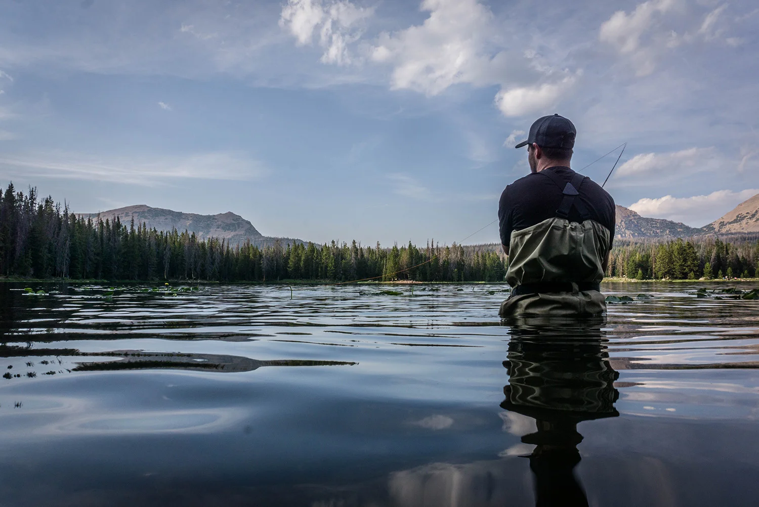 stock-fishing2.jpg