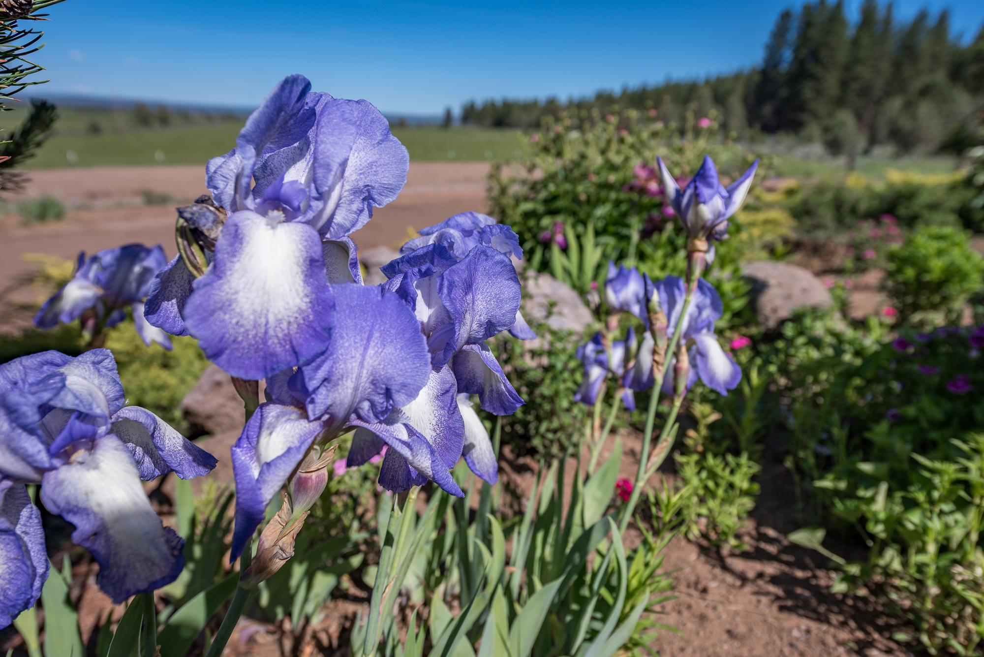 9996WLangellValley-BGP-2674.jpg