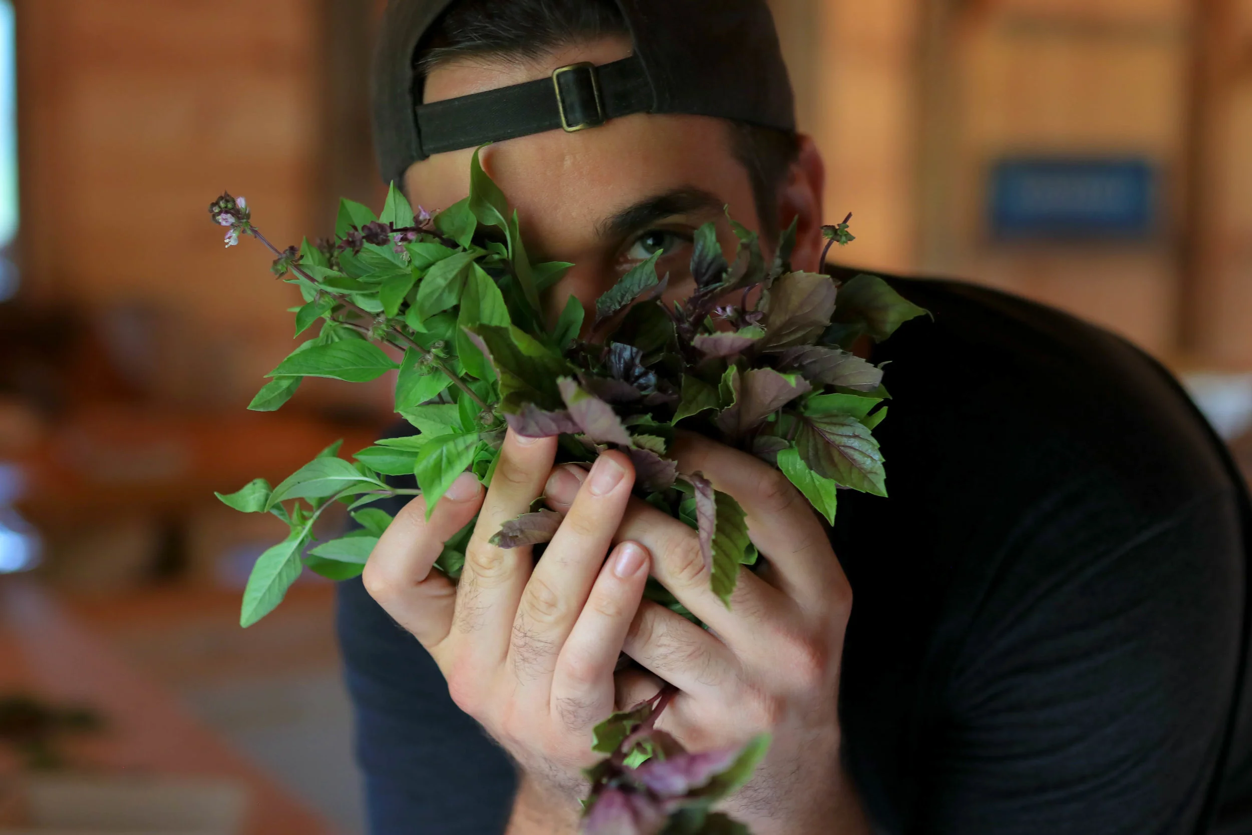 ROOFTOP HERBS AS KYLE KUSHMAN 2.jpg
