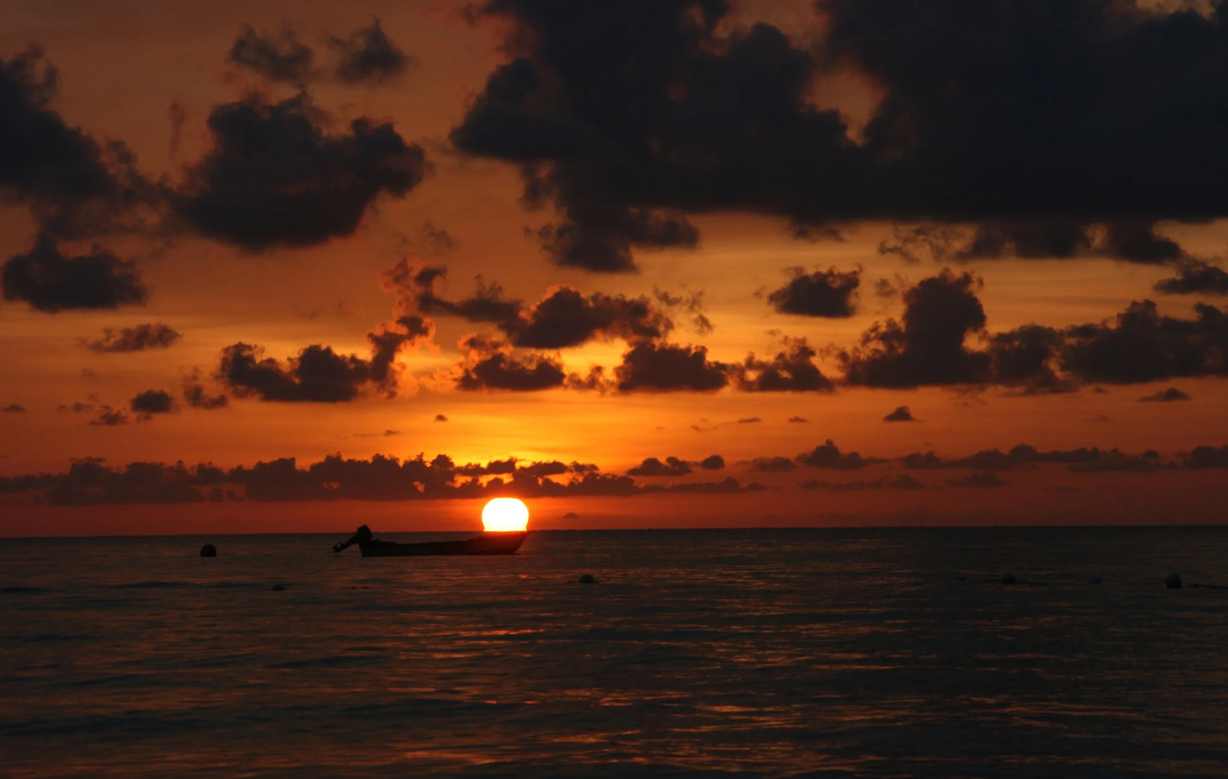 (c) Ian Gage  Good Catch.JPG