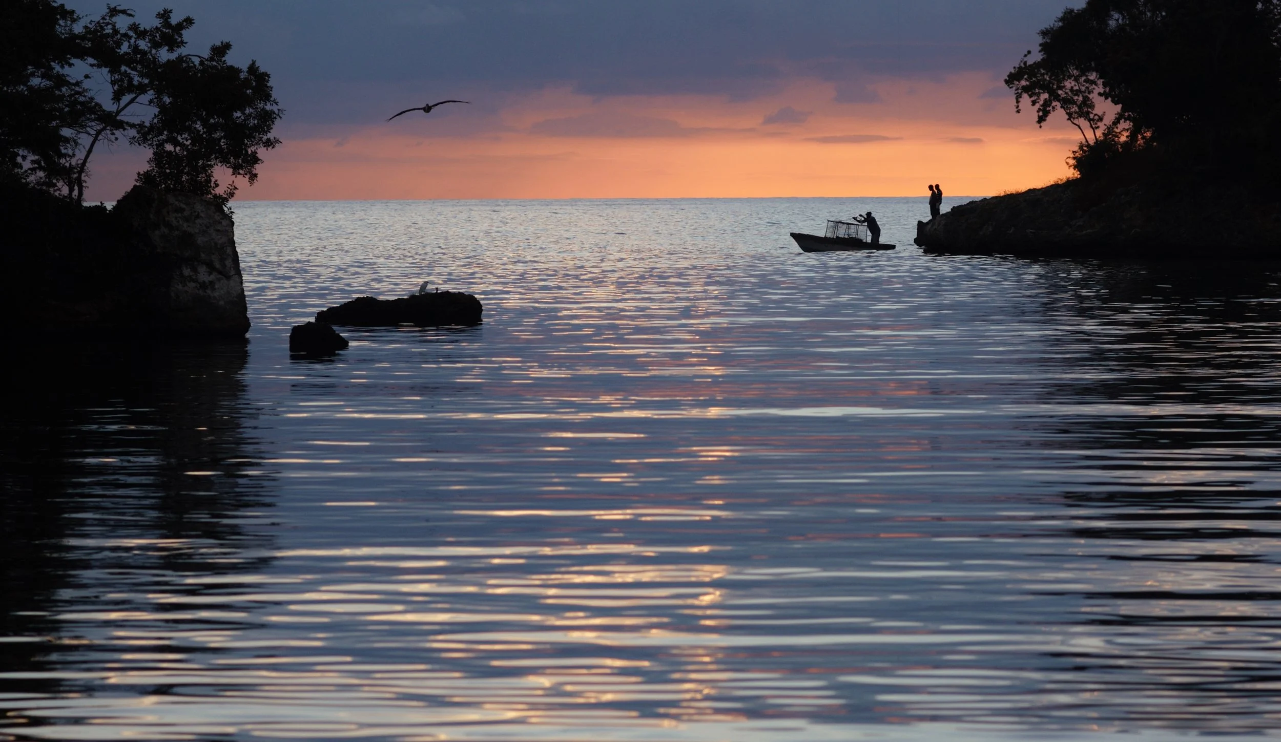 Scott's Cove Fishing.jpg