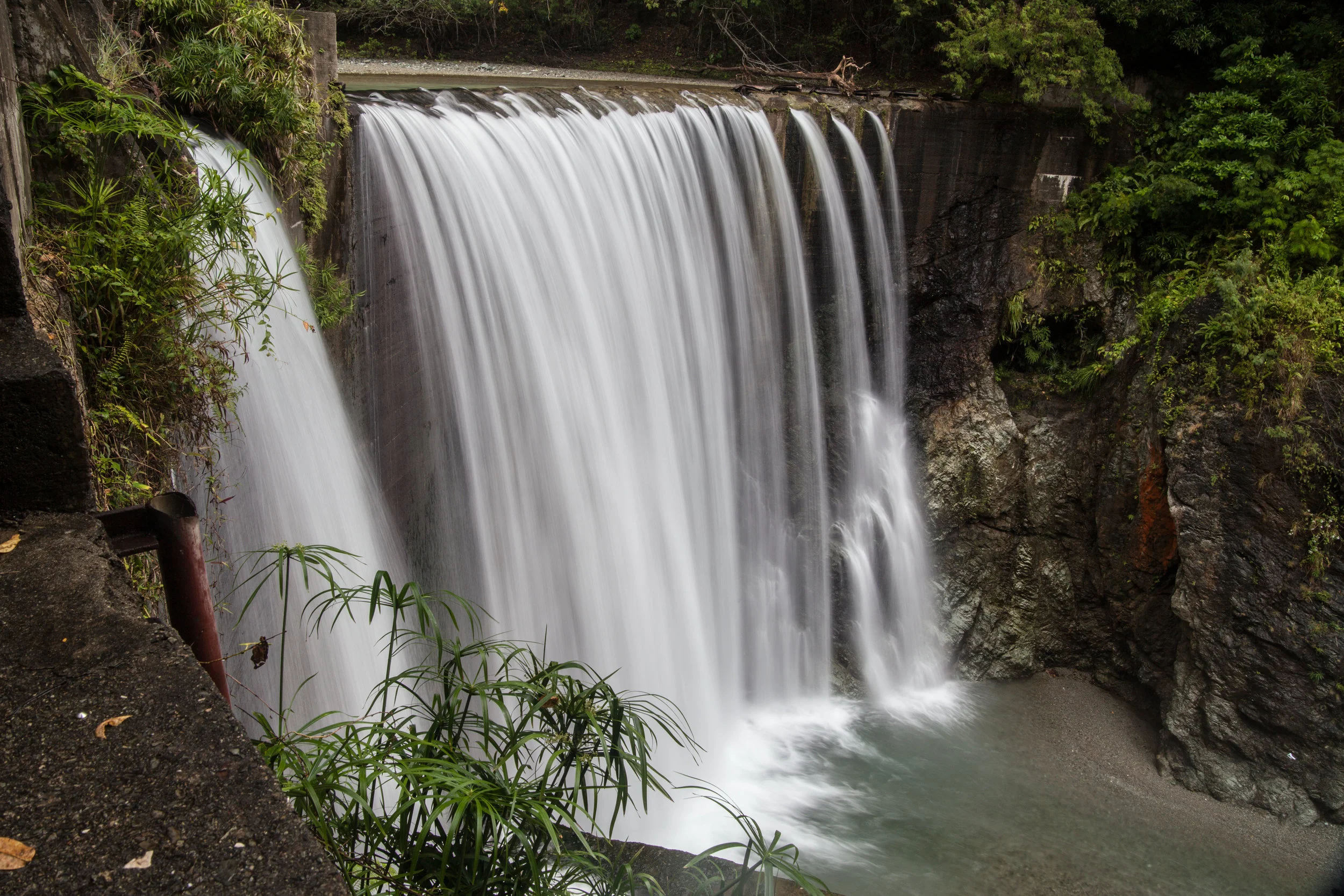 Side Eye on the Falls.jpg