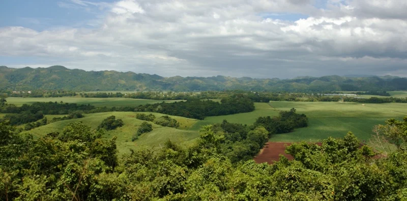 The Vale of Lluidas (800x396).jpg