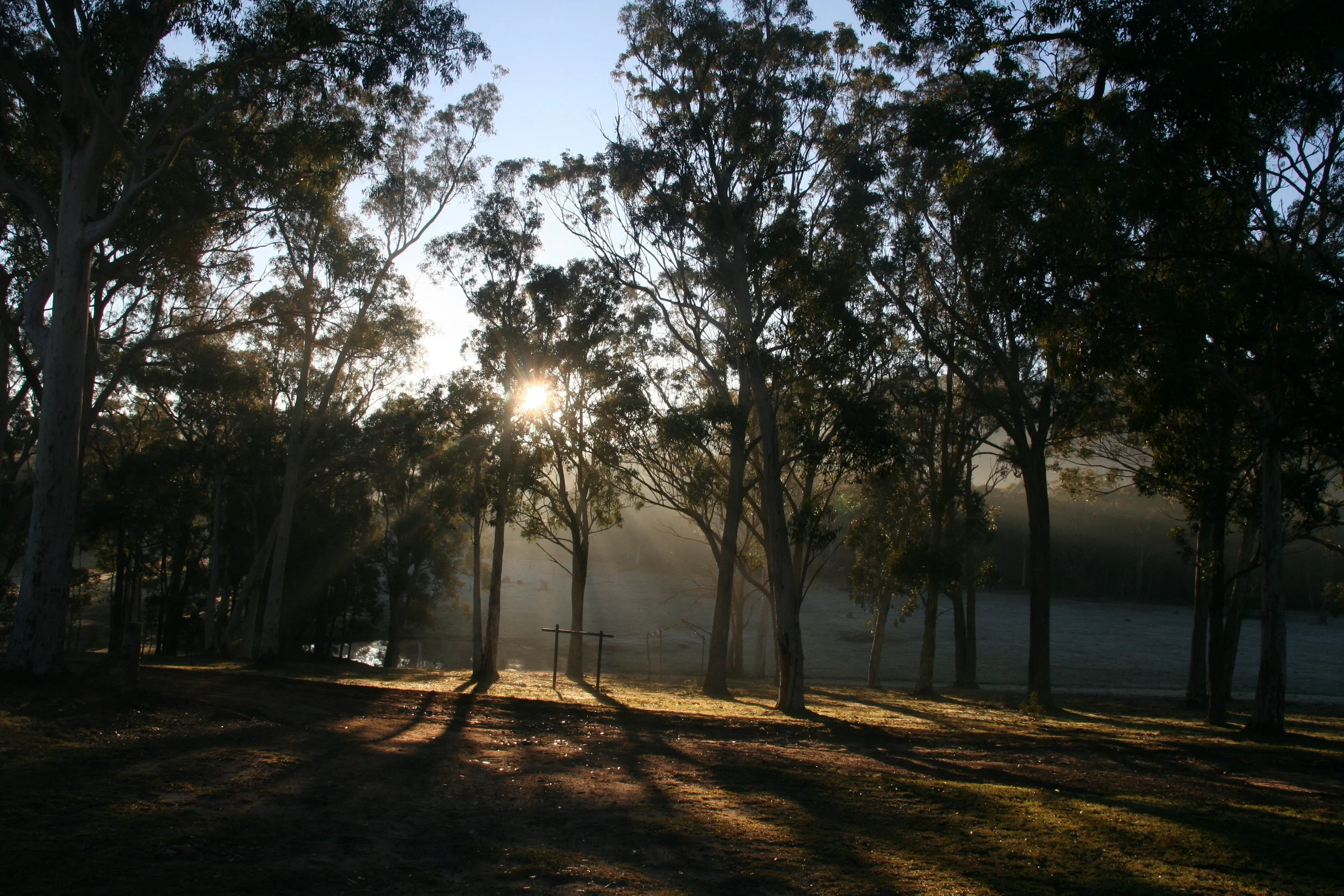 Canon Canon EOS DIGITAL REBEL XT -3456x2304-1271712623.JPEG