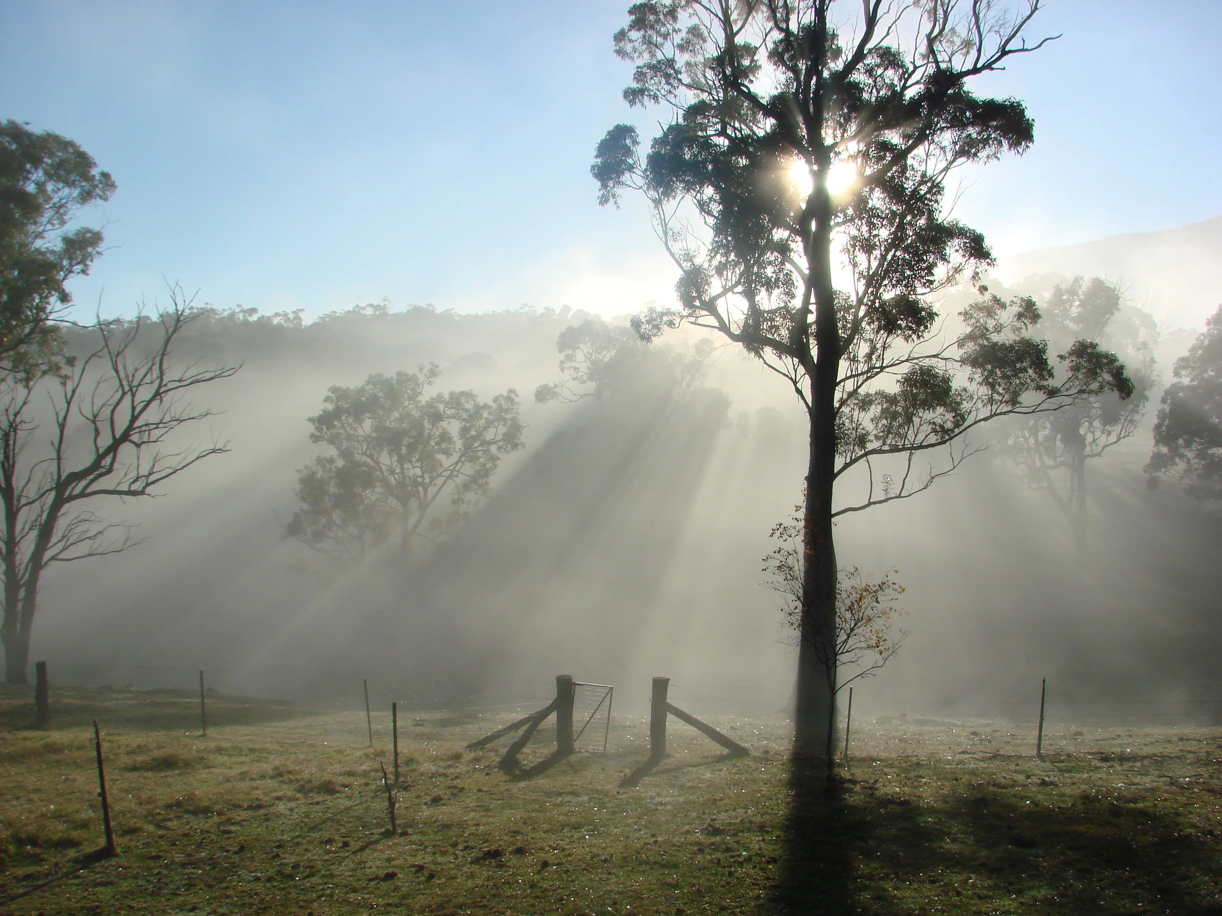 SONY DSC-H5 -3072x2304-275627383.JPEG