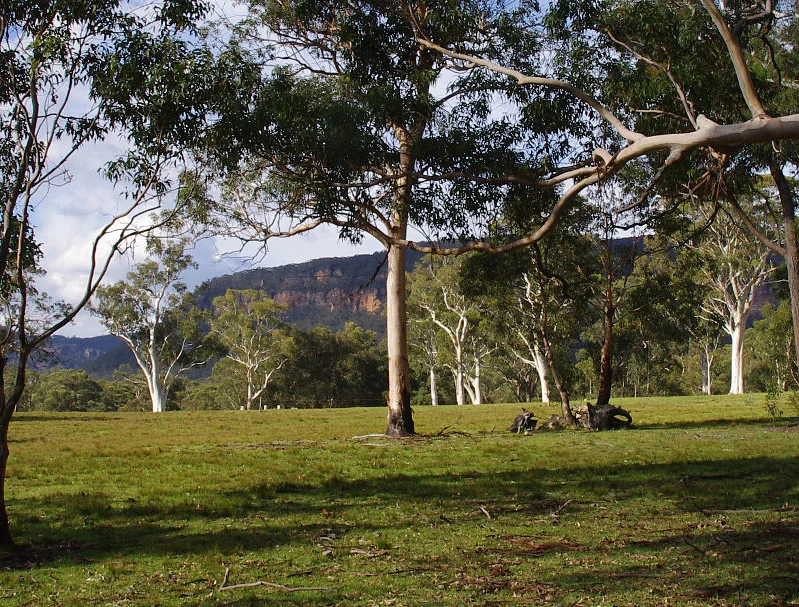 view to east 2.jpg