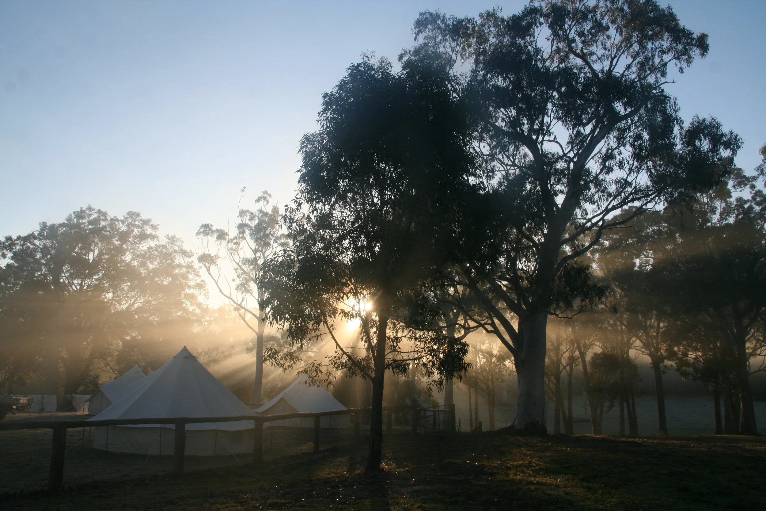 Canon Canon EOS DIGITAL REBEL XT -3456x2304-1271578735.JPEG