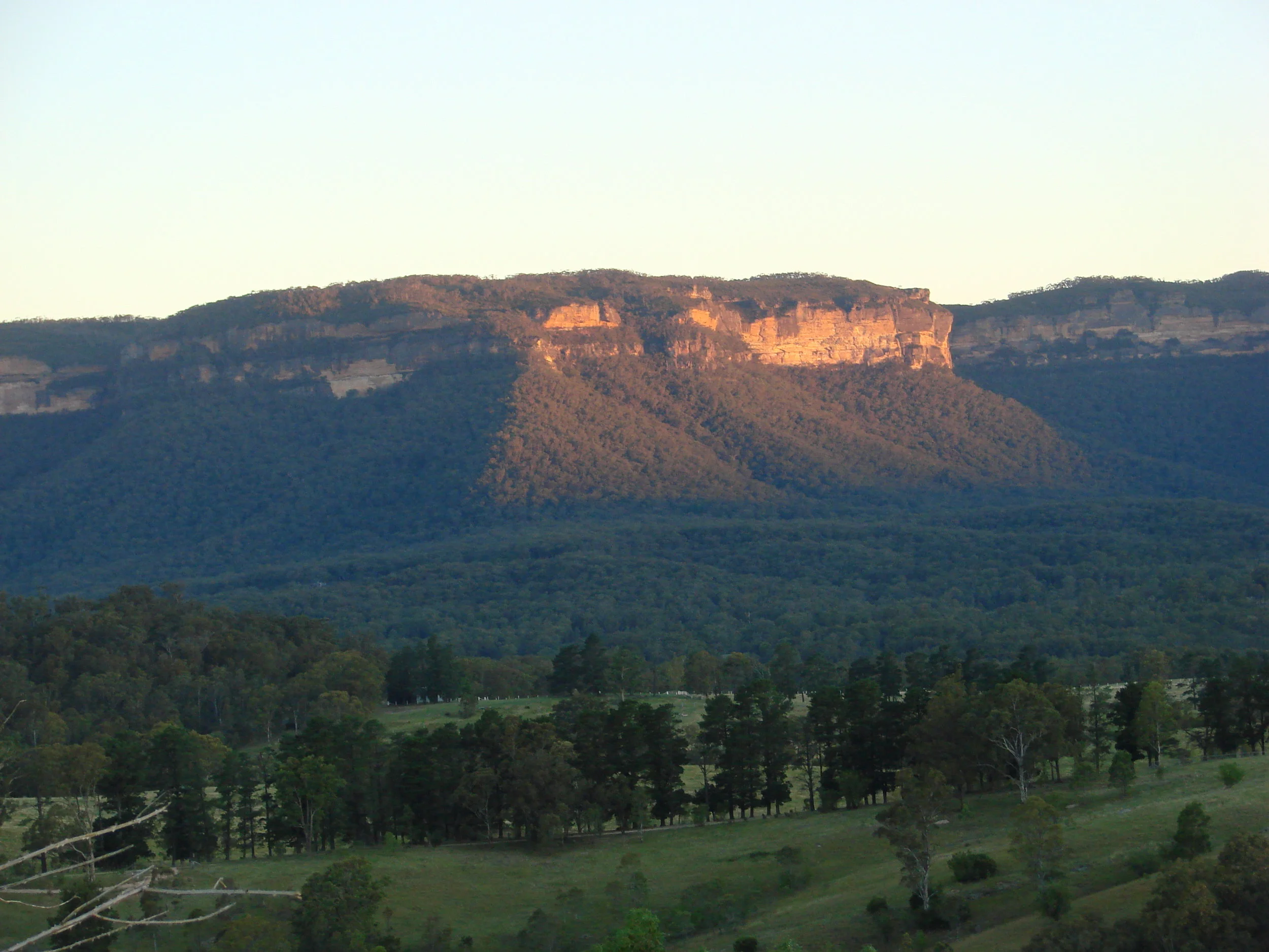 SONY DSC-H5 -3072x2304-271894359.JPEG