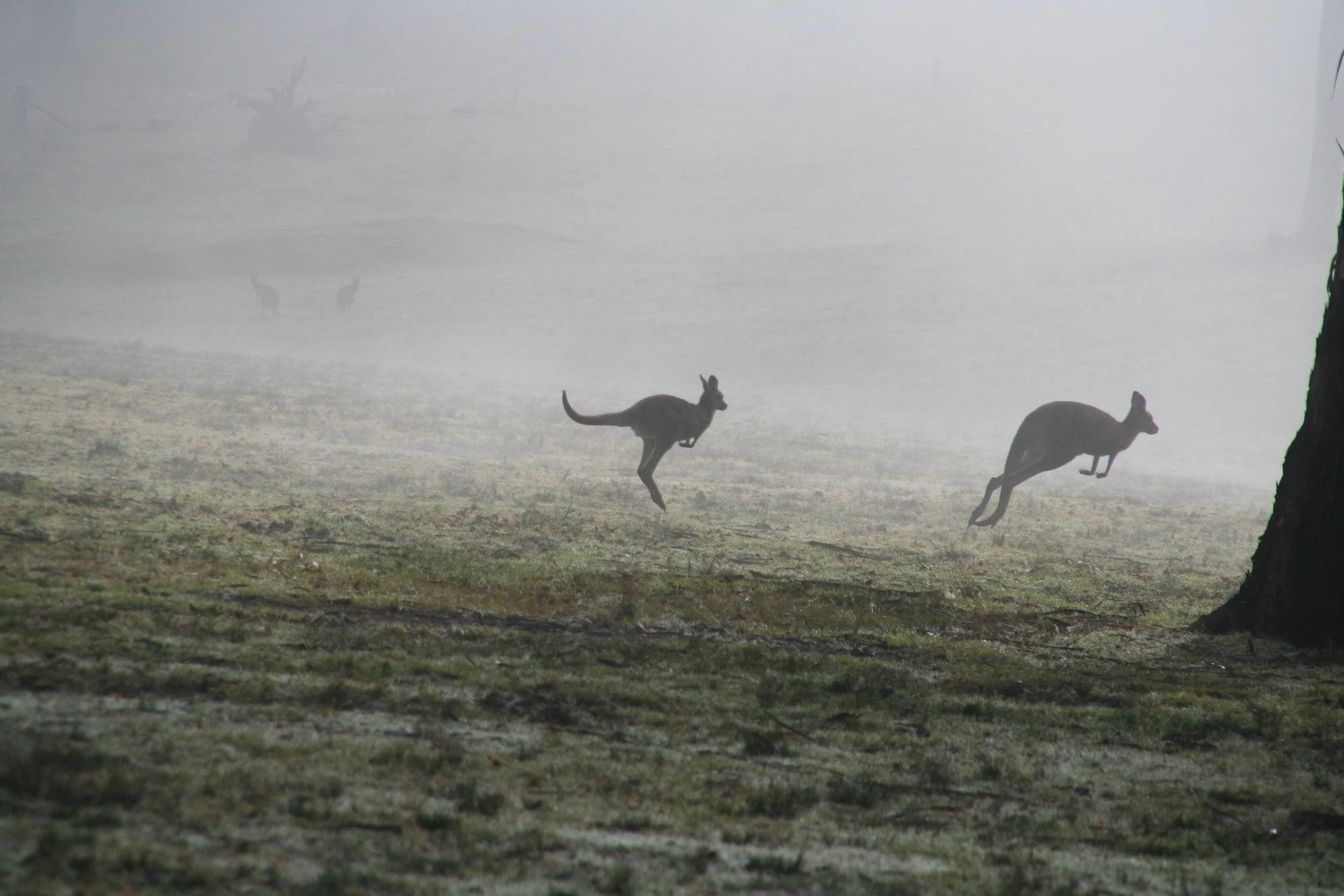 Canon Canon EOS DIGITAL REBEL XT -3456x2304-1272175511.JPEG