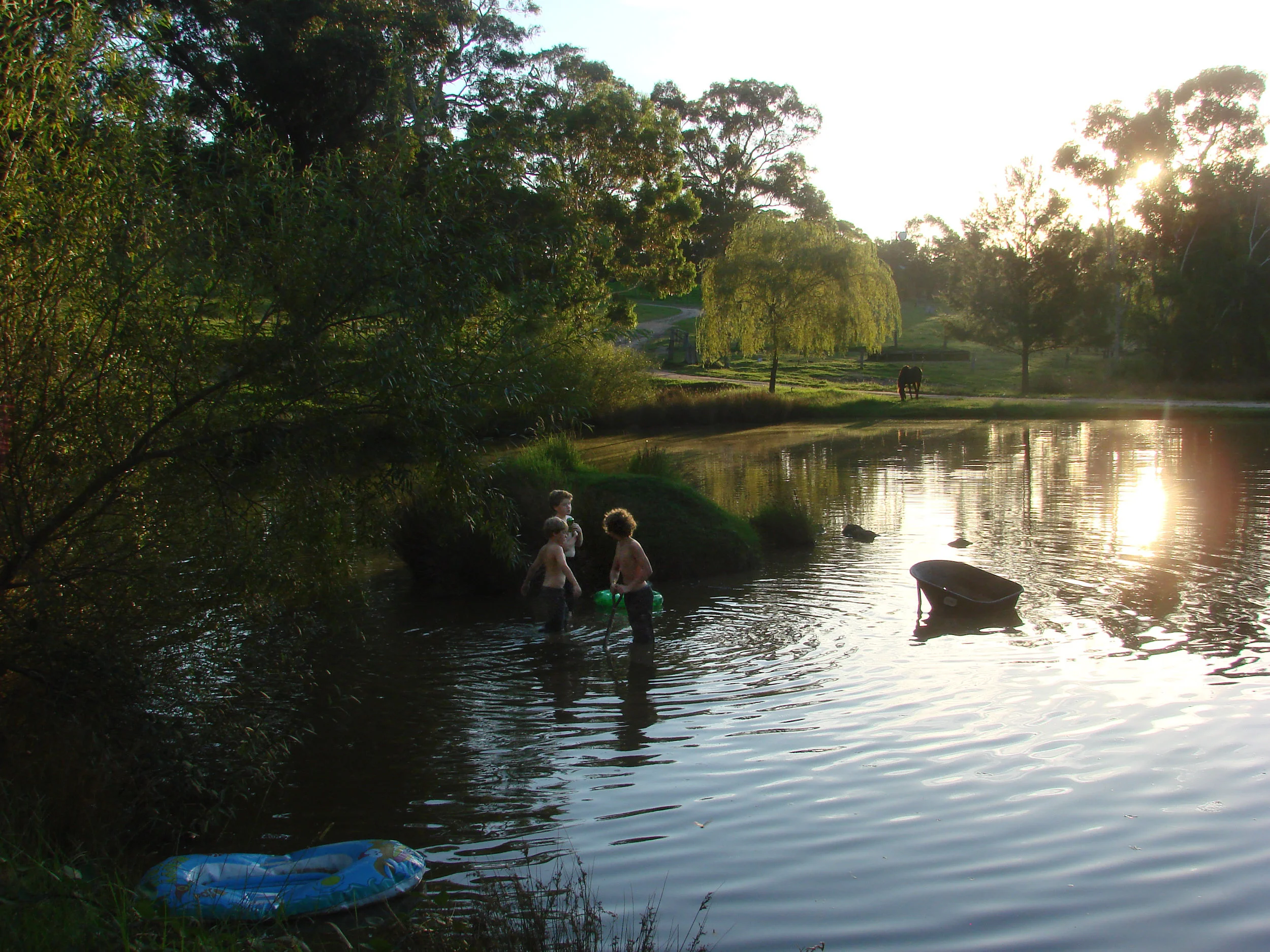 afternoon in the dam.jpg