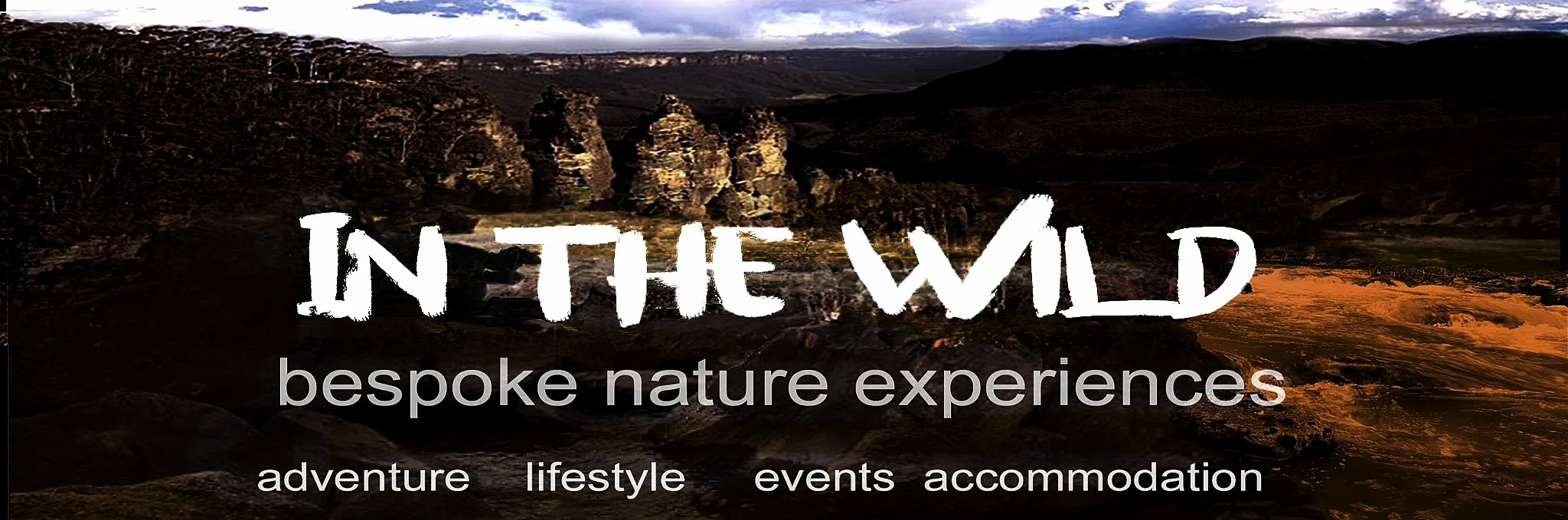in the wild header.jpg