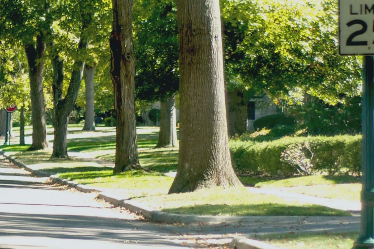 Street-View.jpg