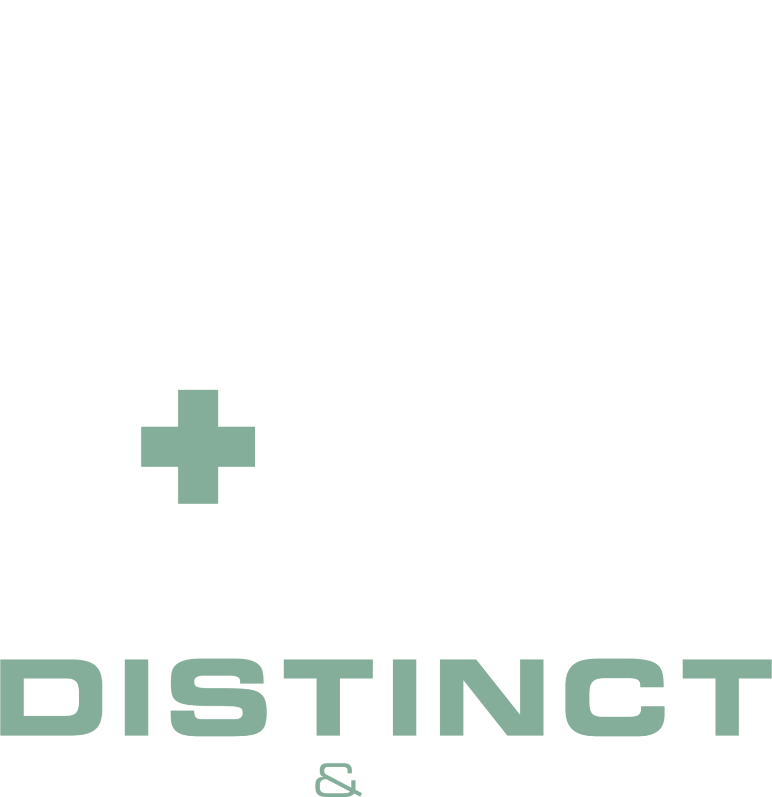 Lighting and Electrical | Distinct Lighting and Electrical | 801-309-9523