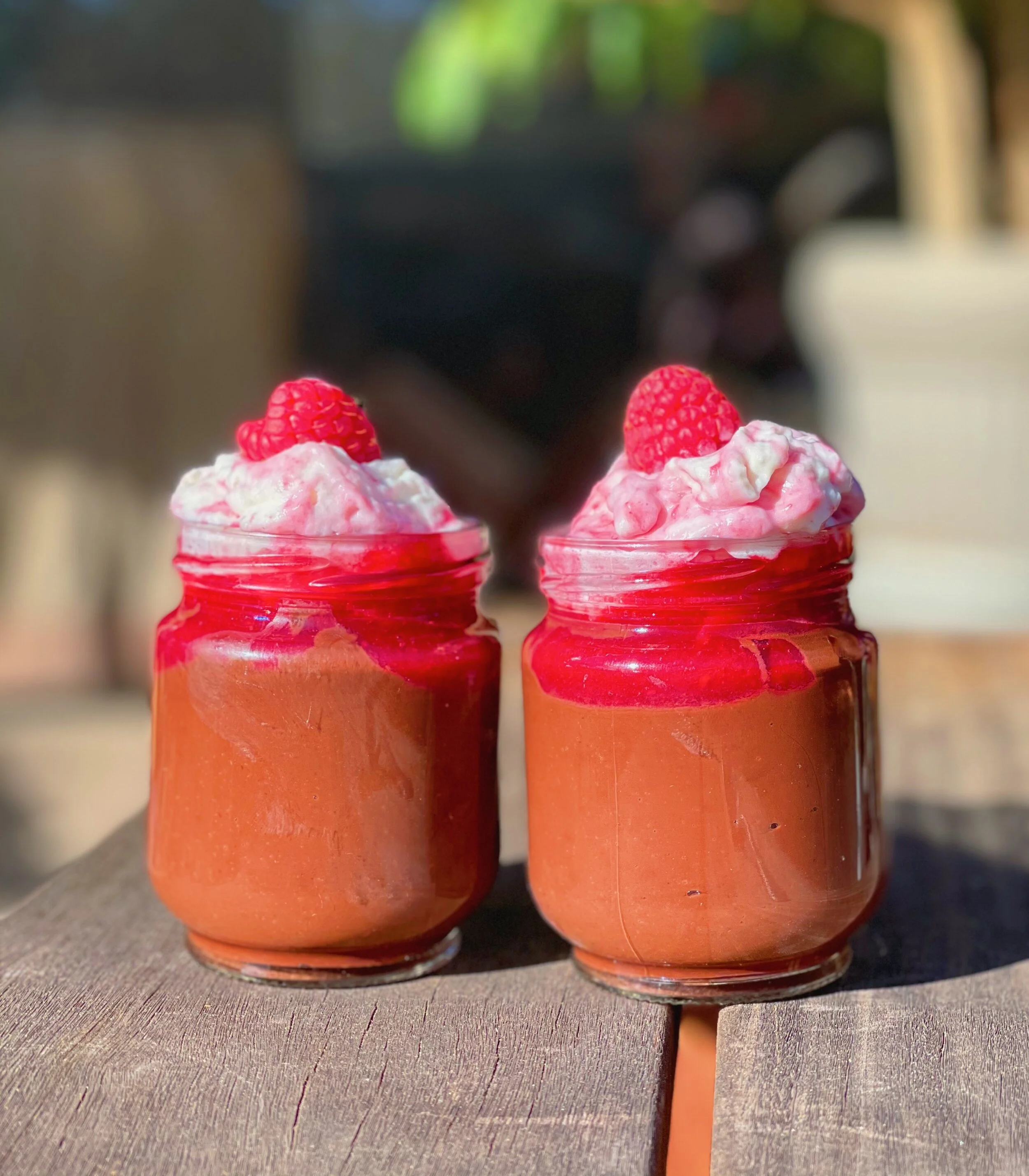 Chocolate Pudding with Raspberry Sauce
