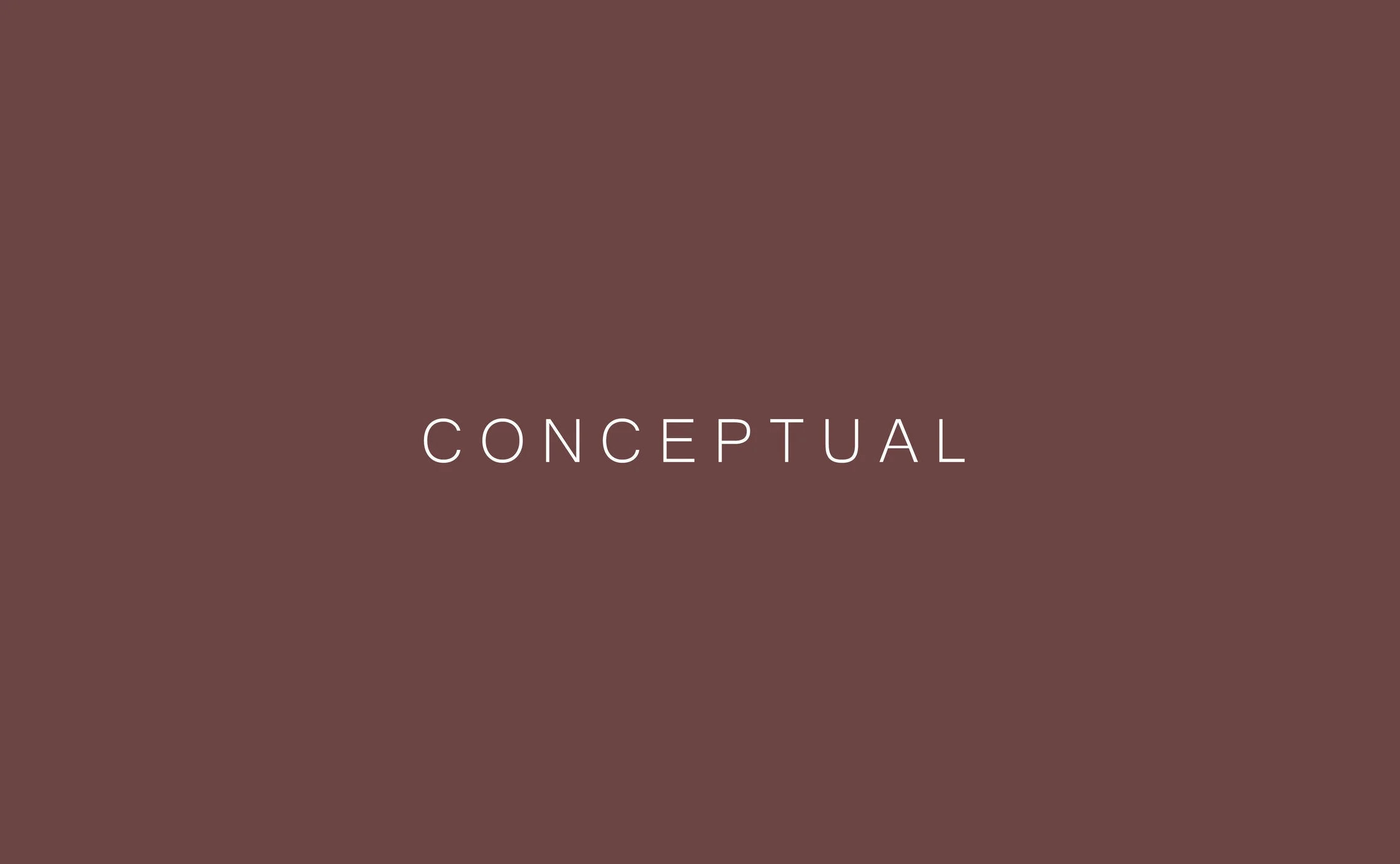 CONCEPTUAL.jpg