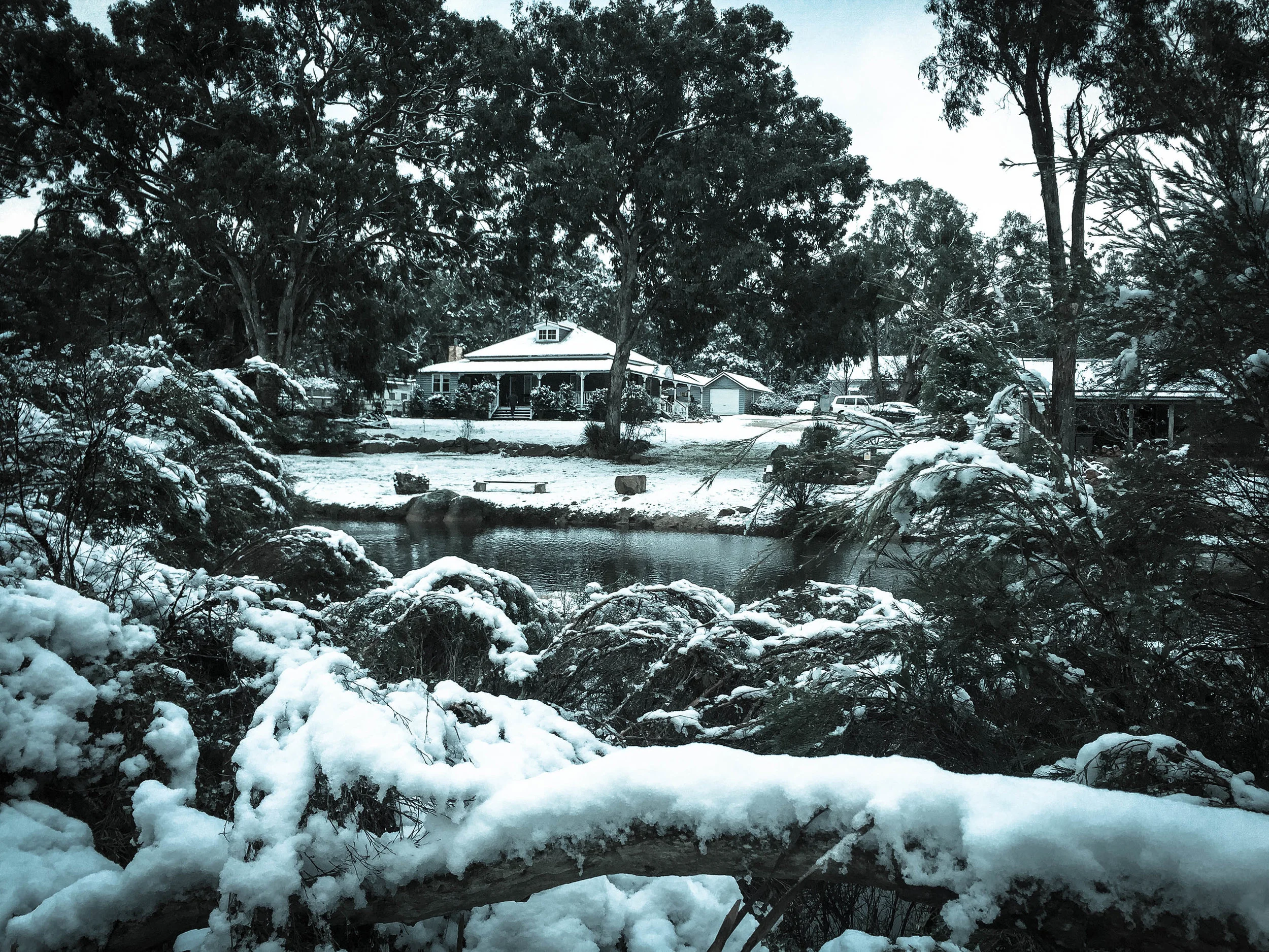 Magical Snow in Diamondvale Wonderland