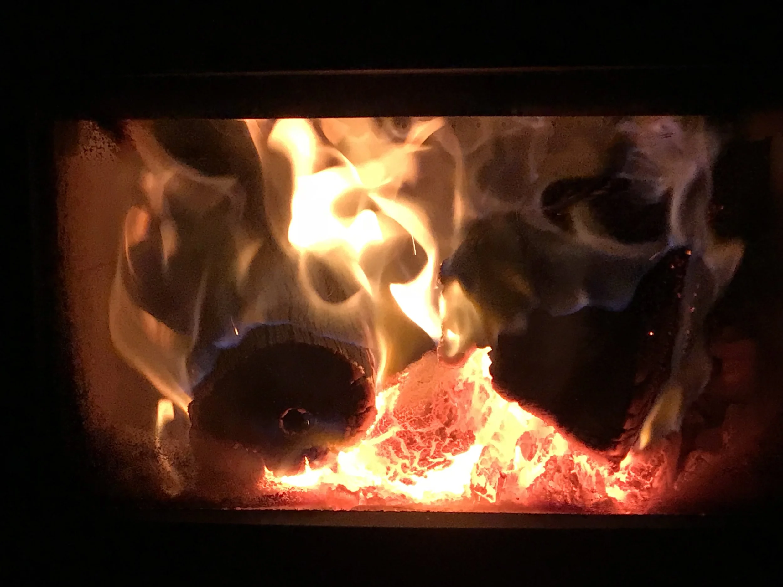 Wood burning fire