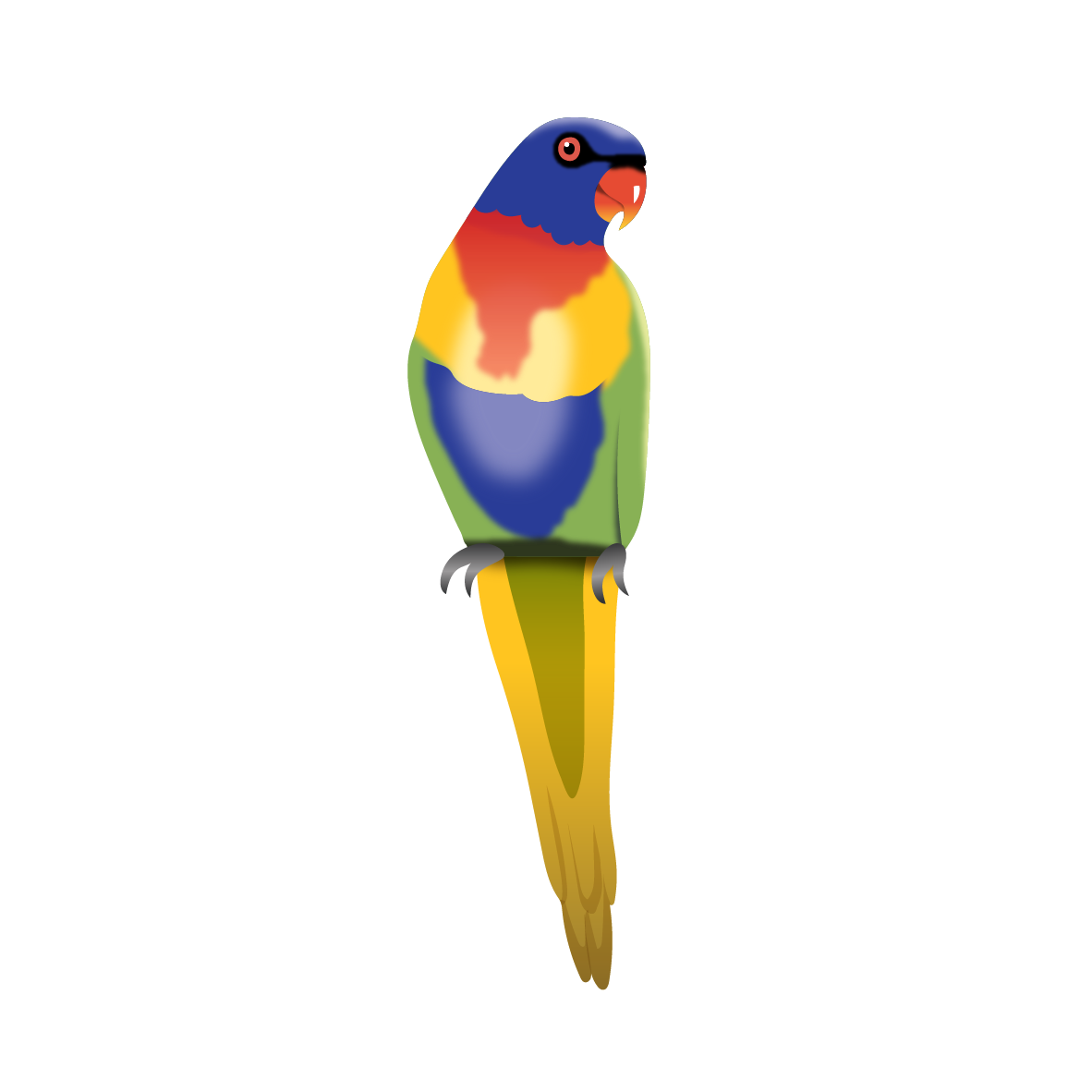 CSCC_Darnum_Parrot_RGB.png