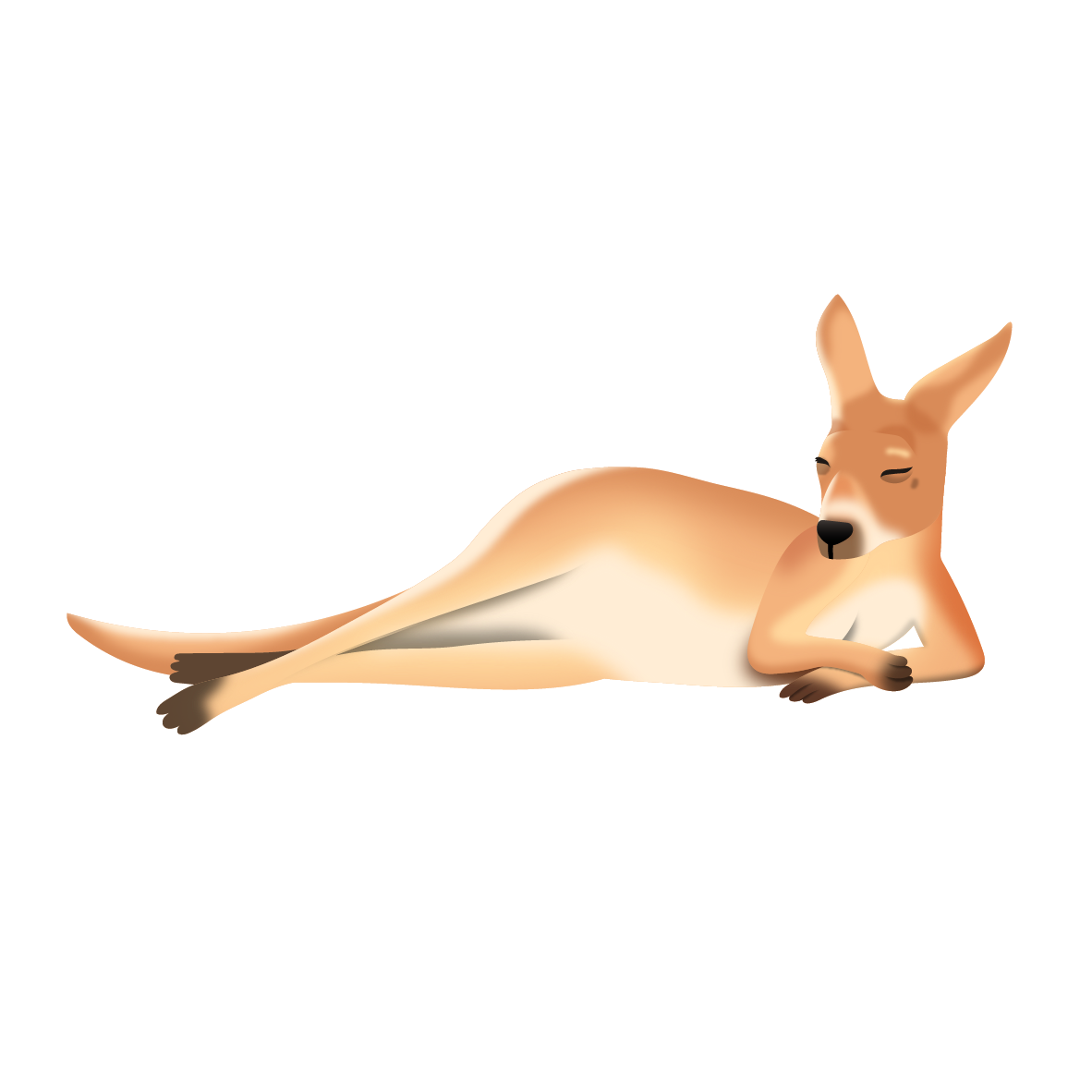 CSCC_Marrum_Kangaroo_RGB.png