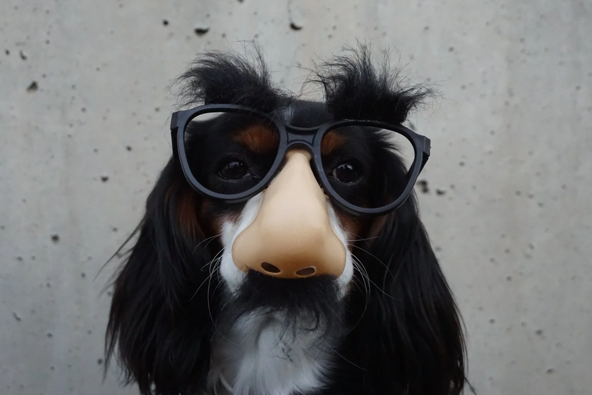 Microblading: todo lo que debes saber sobre la tendencia de cejas que arrasa en redes.