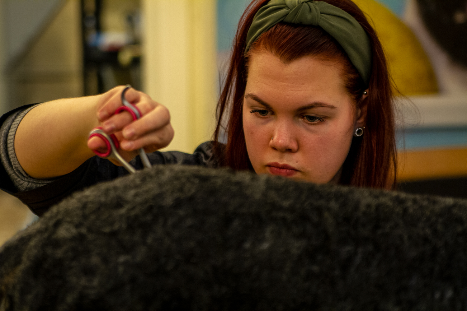 Undervisning ved Norges Hundefrisørskole