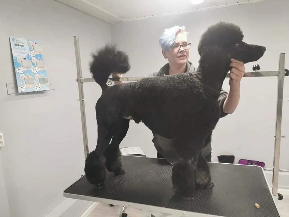 Elevportal Norges Hundefrisørskole