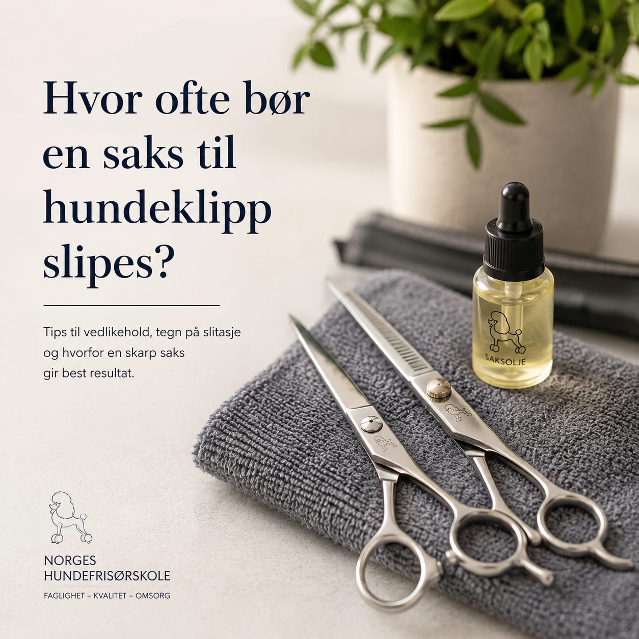 Hvor ofte bør en saks til hundeklipp slipes?