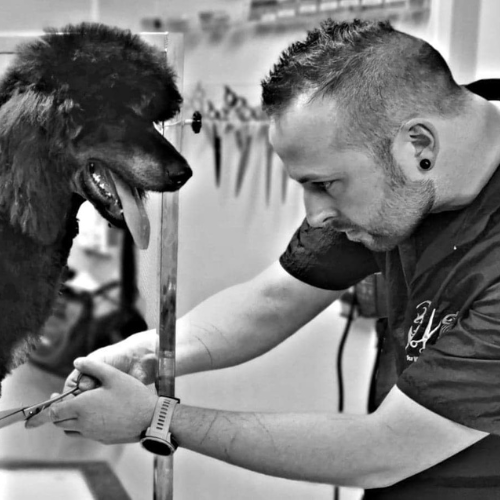 Kurs hos Norges Hundefrisørskole