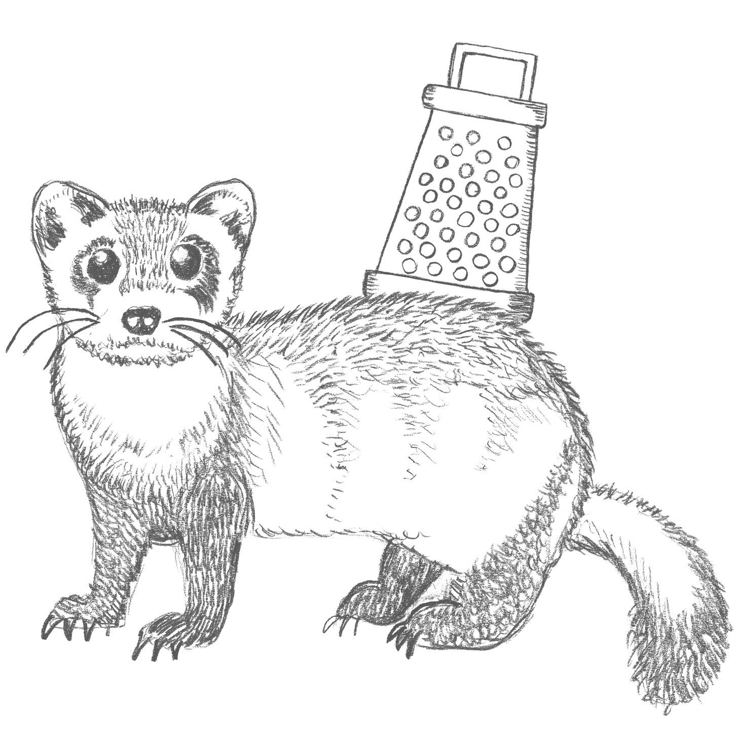 Pots%26Co_Ferret_Grater_80K_PR01.jpg