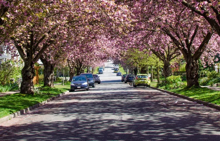 You wouldn’t forget a place like this. from www.shutterstock.com