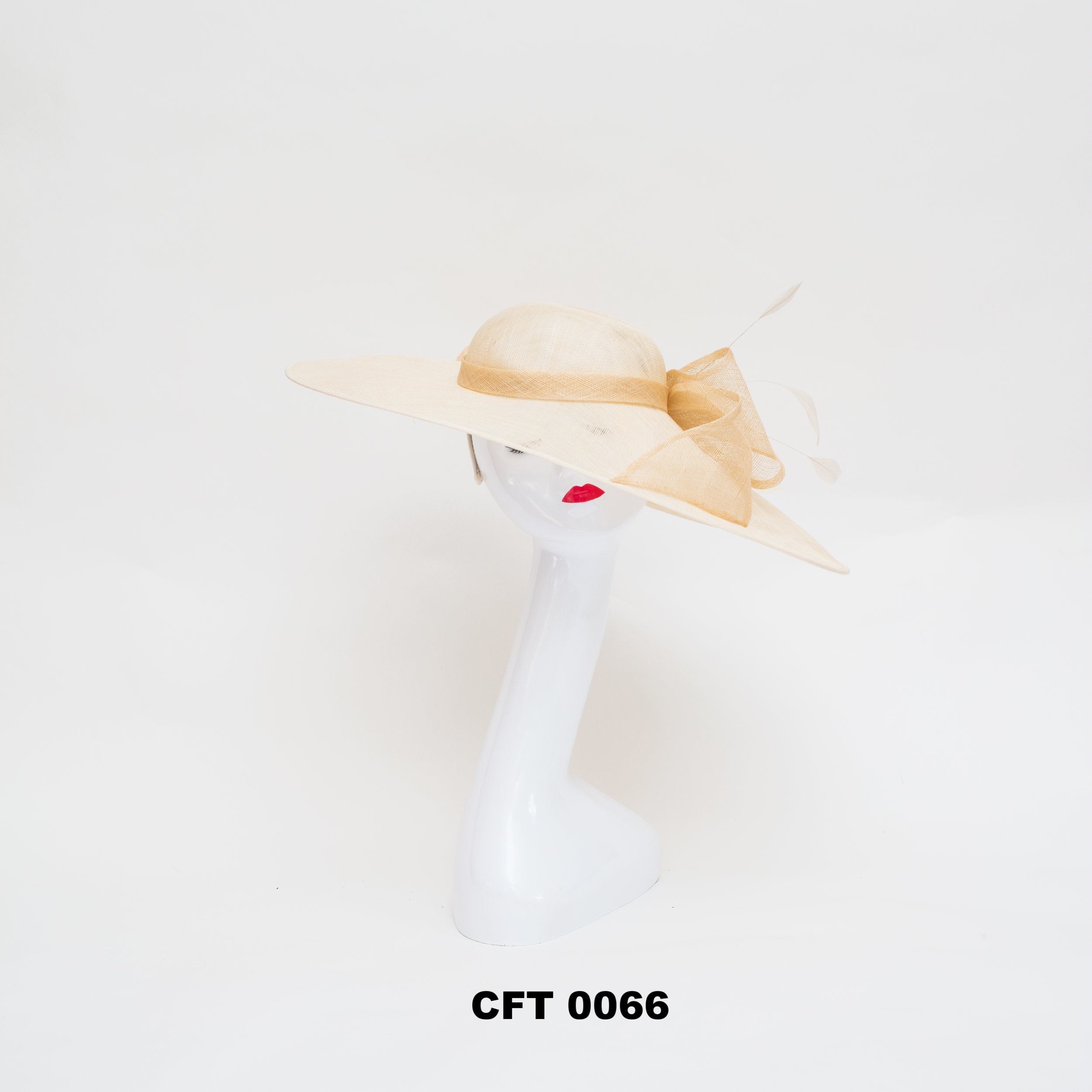 CFT 0066 (F).jpg