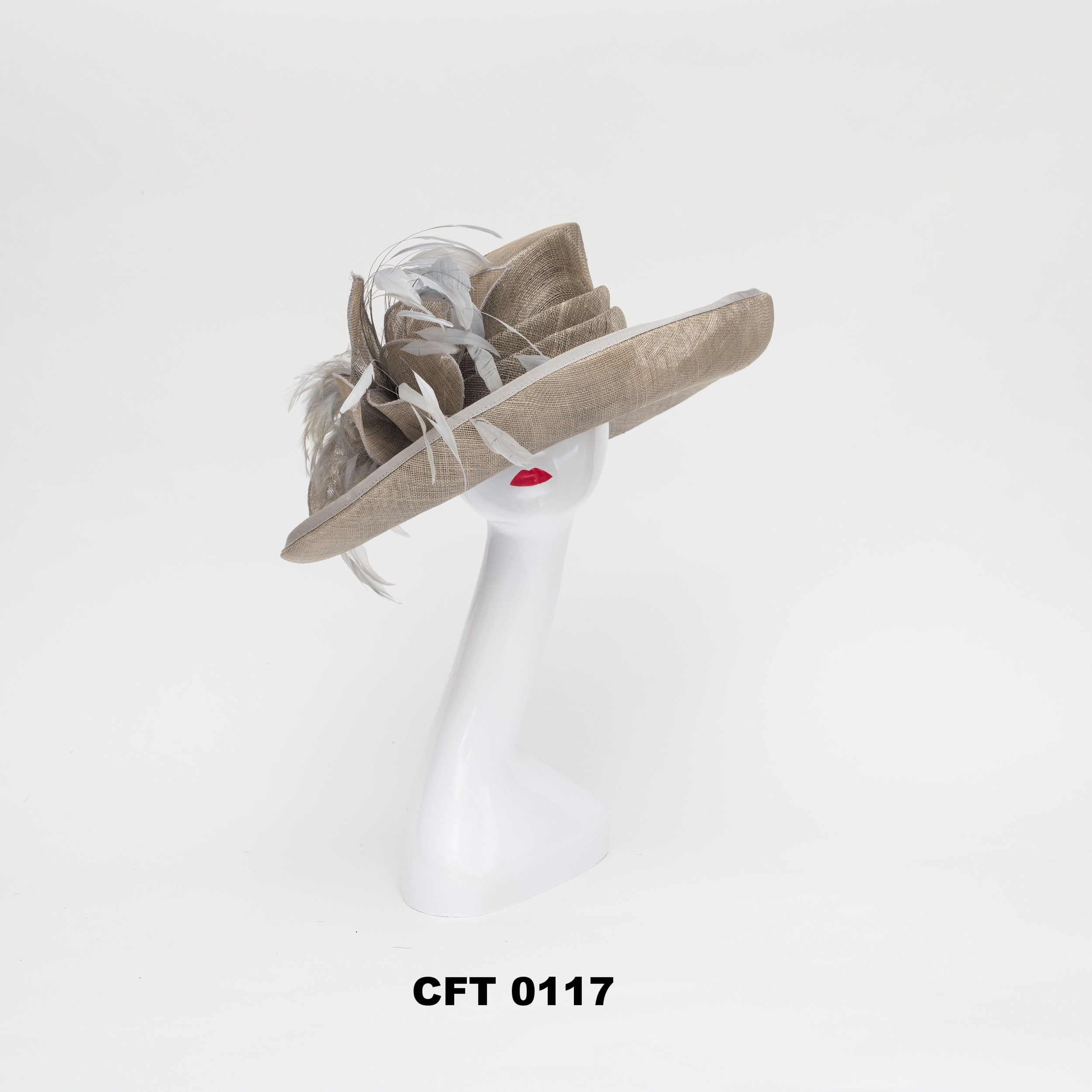 CFT 0117.jpg