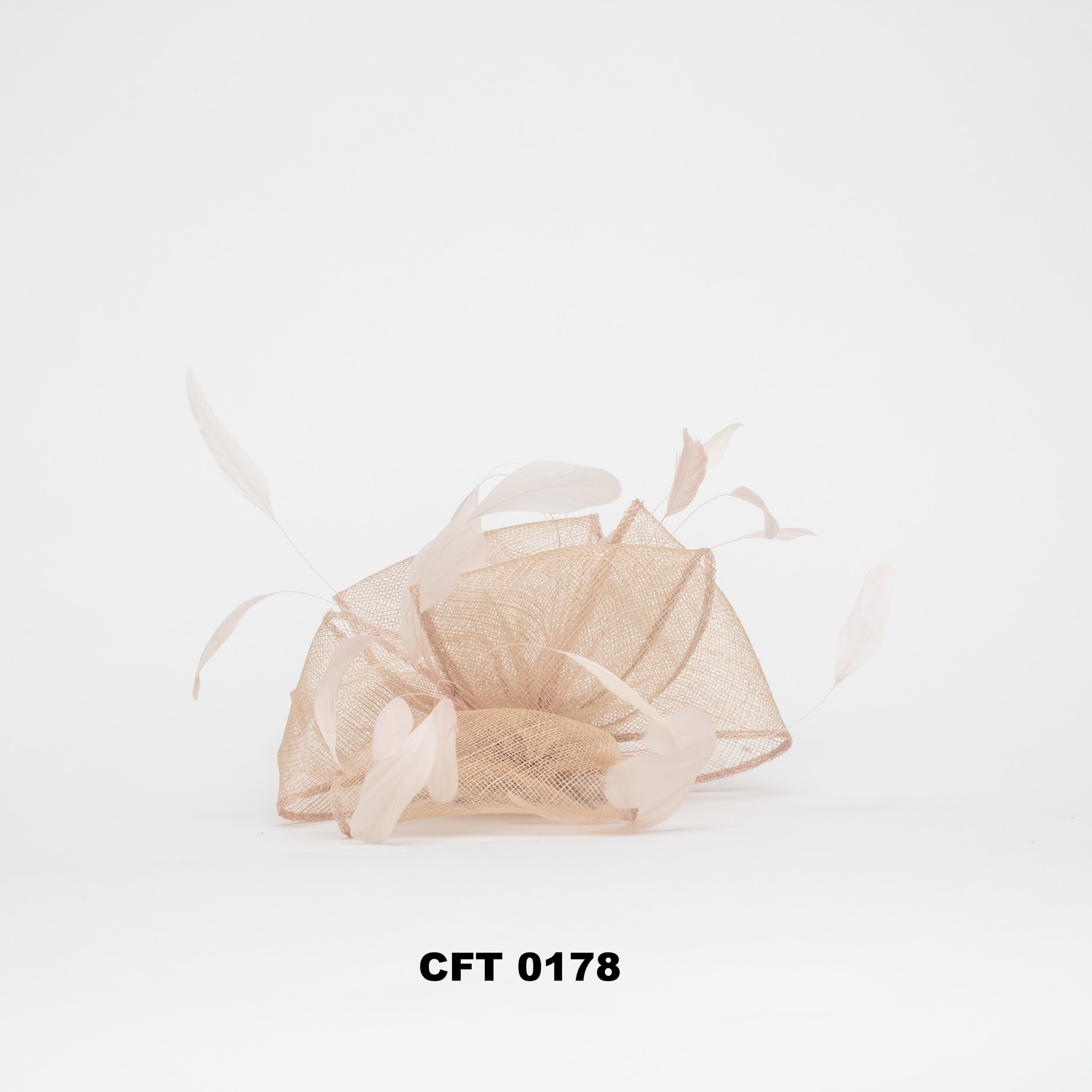 CFT 0178 (C).jpg