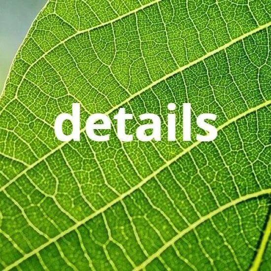 Details