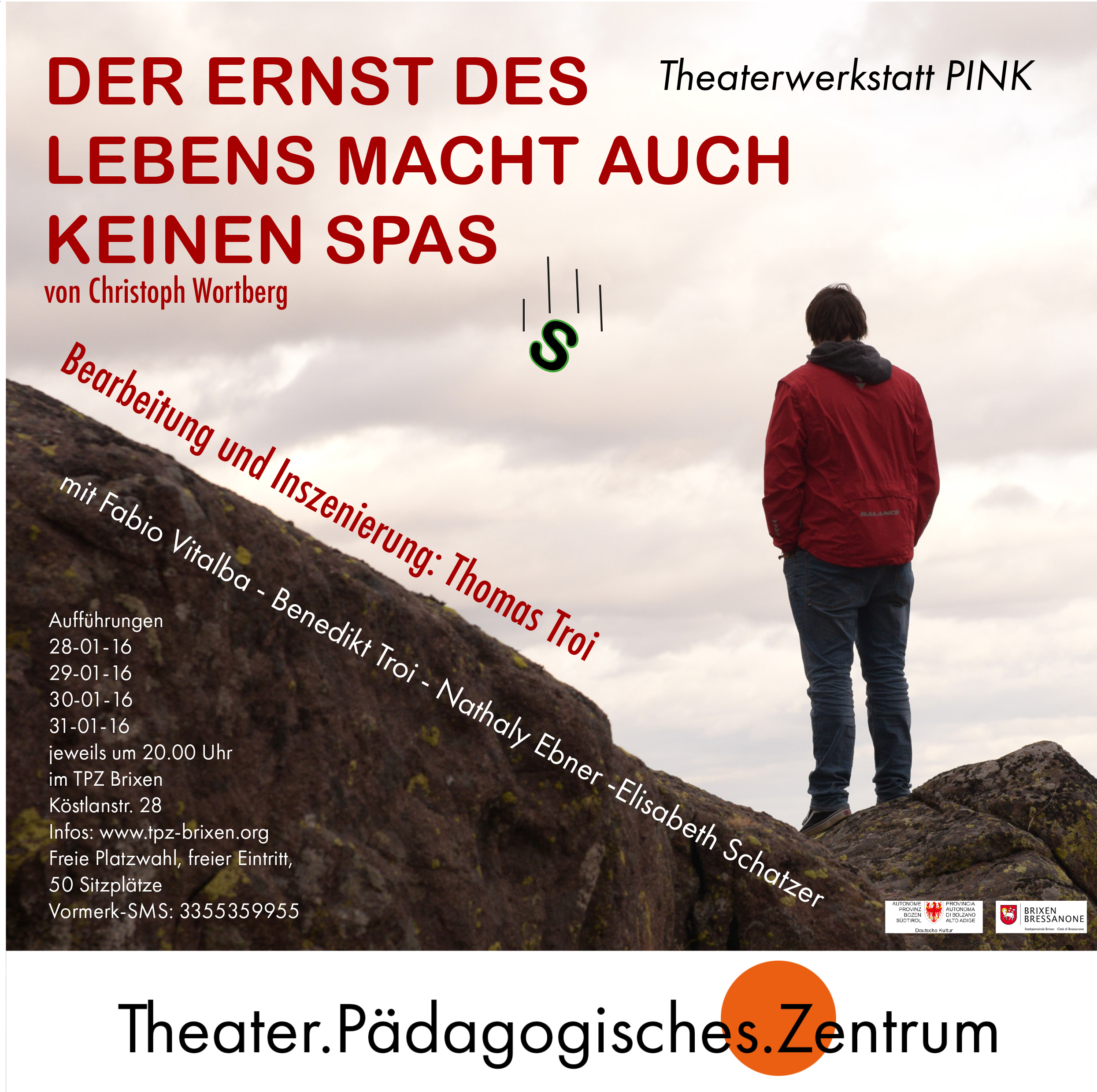 2016 pink Ernst des Lebens Plakat.jpg