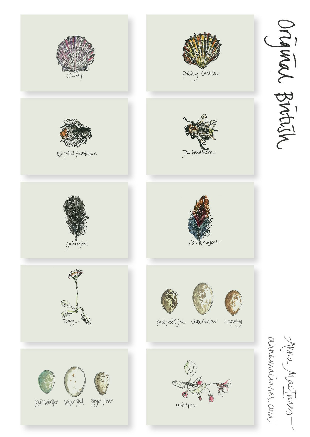 Anna Insert Cards Print All_Page_02.jpg