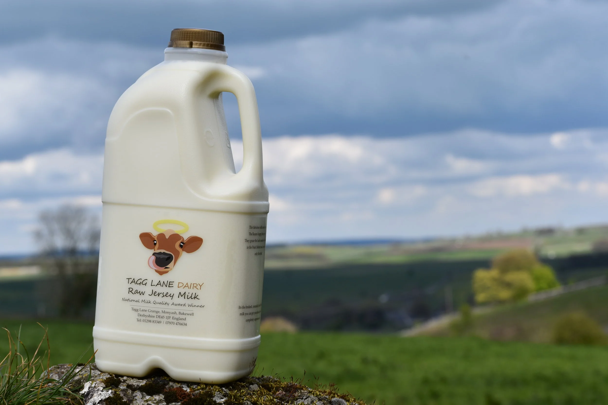 Raw Jersey milk 16 litres — Tagg Lane Dairy