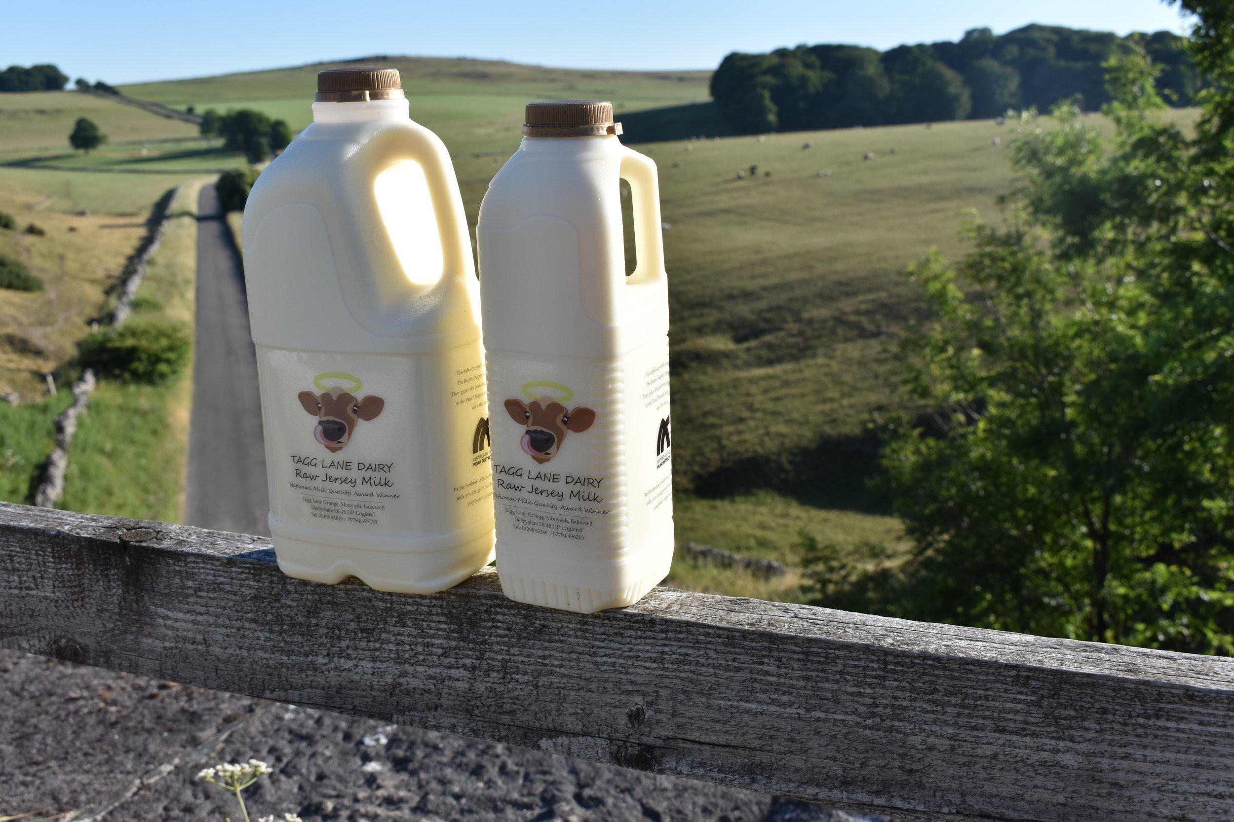 Organic Raw Jersey Milk Tagg Lane Dairy