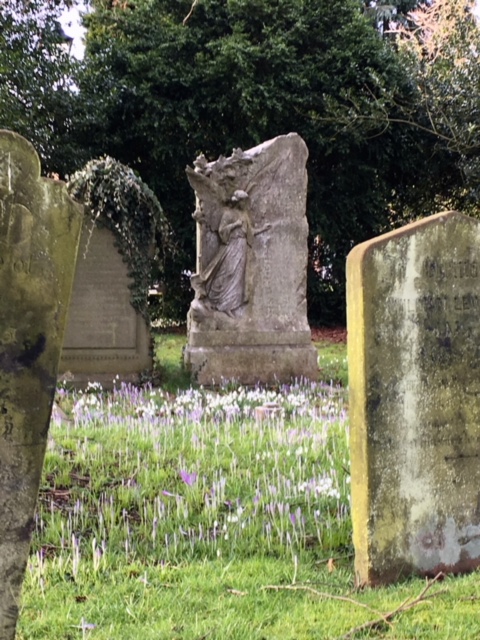 image1.jpeg