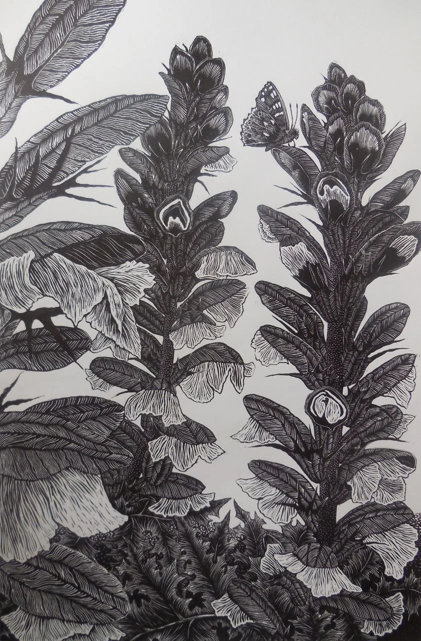 Acanthus Spires.jpg