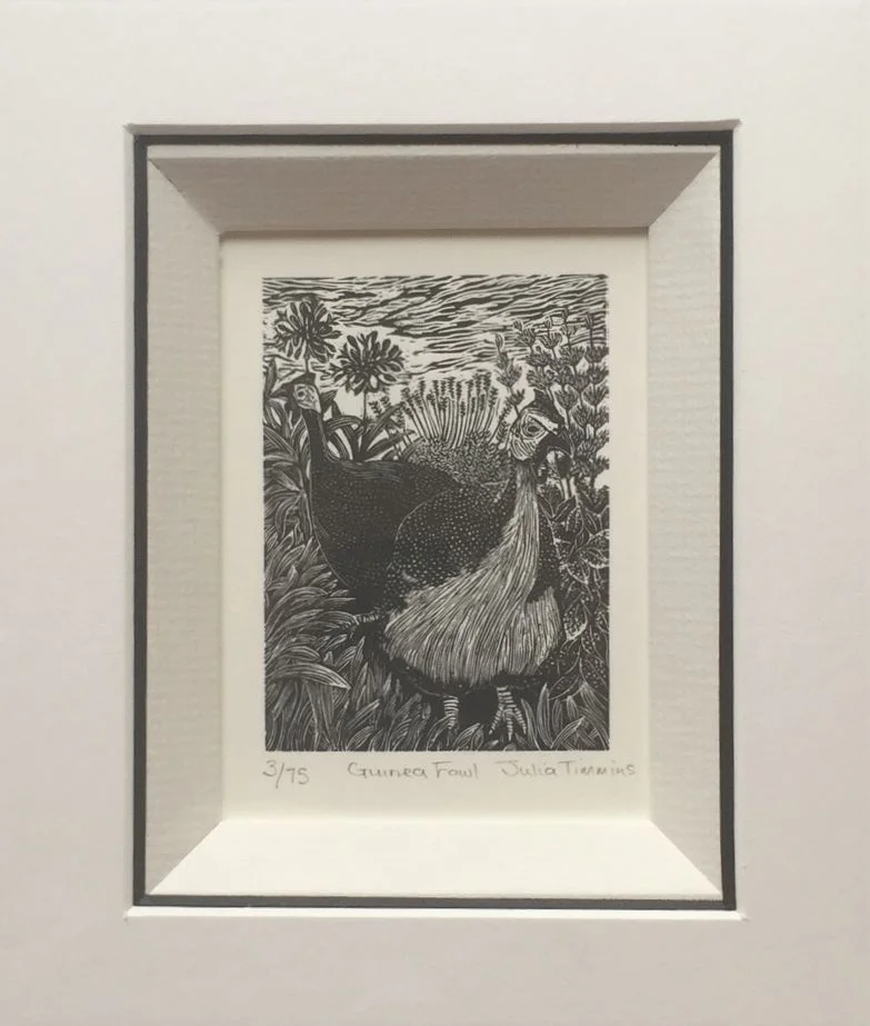 Guinea fowl in a frame.jpg