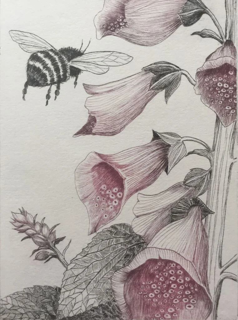 Foxglove and Bee.jpg