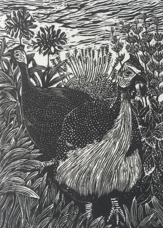 Guinea Fowl (2).jpg