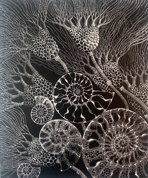 Ancient tides (1).jpg